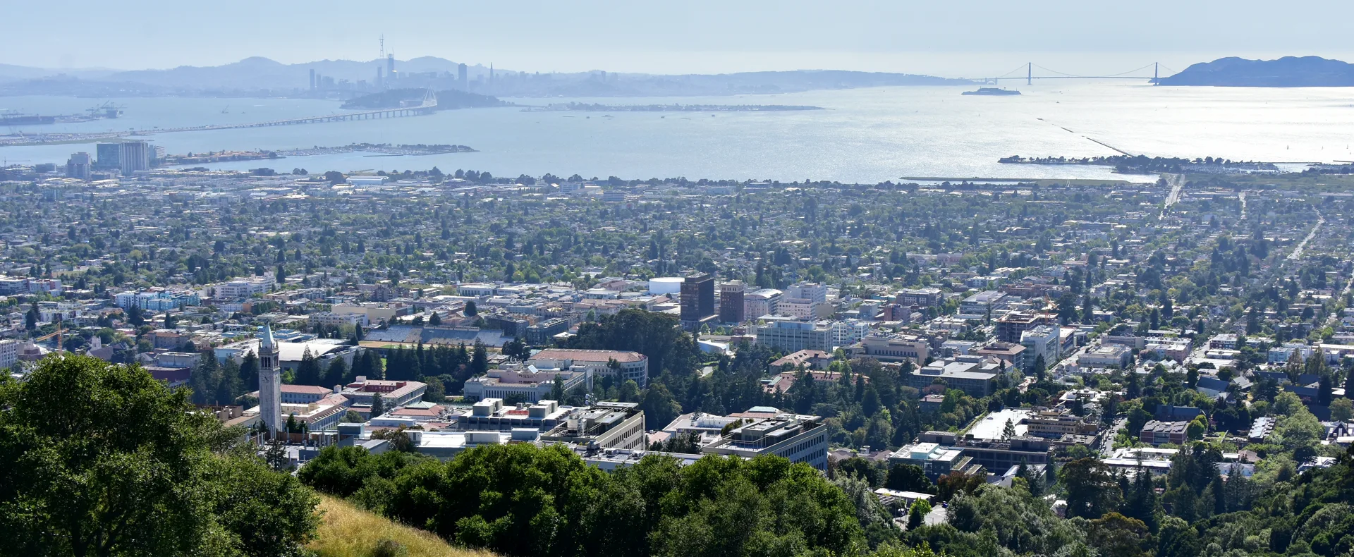 Movers in Berkeley, CA